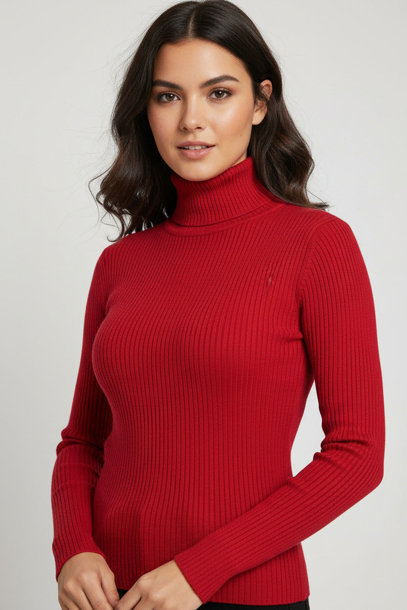 Lumiere Turtleneck Slim Knit Top
