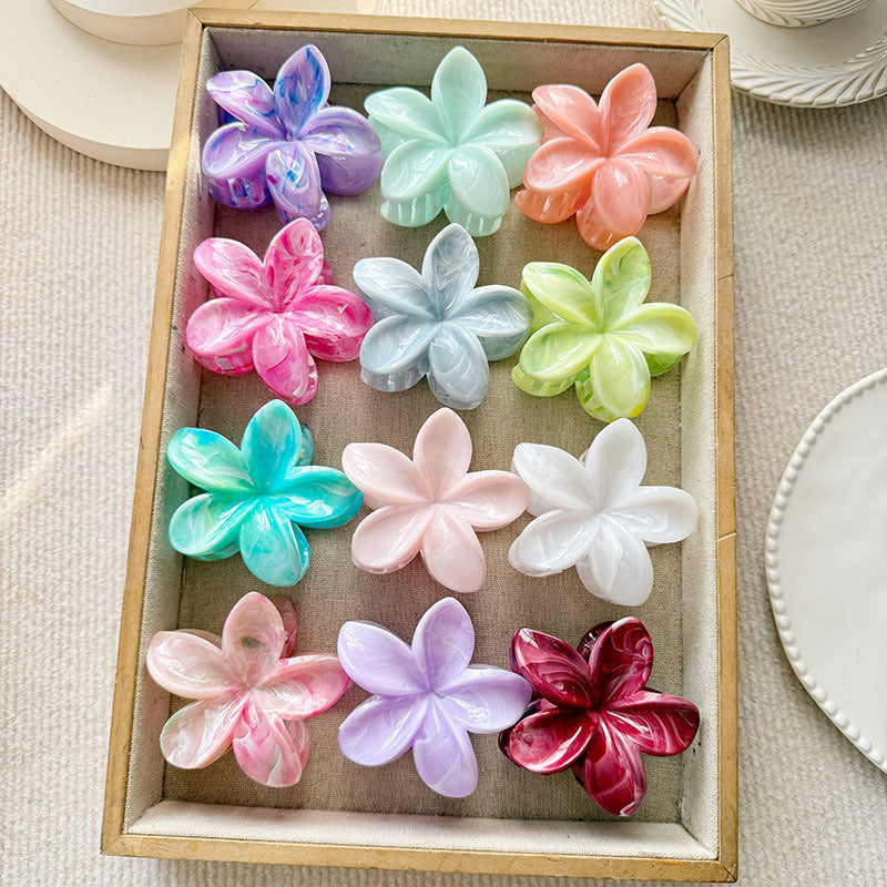 Updo shark clip