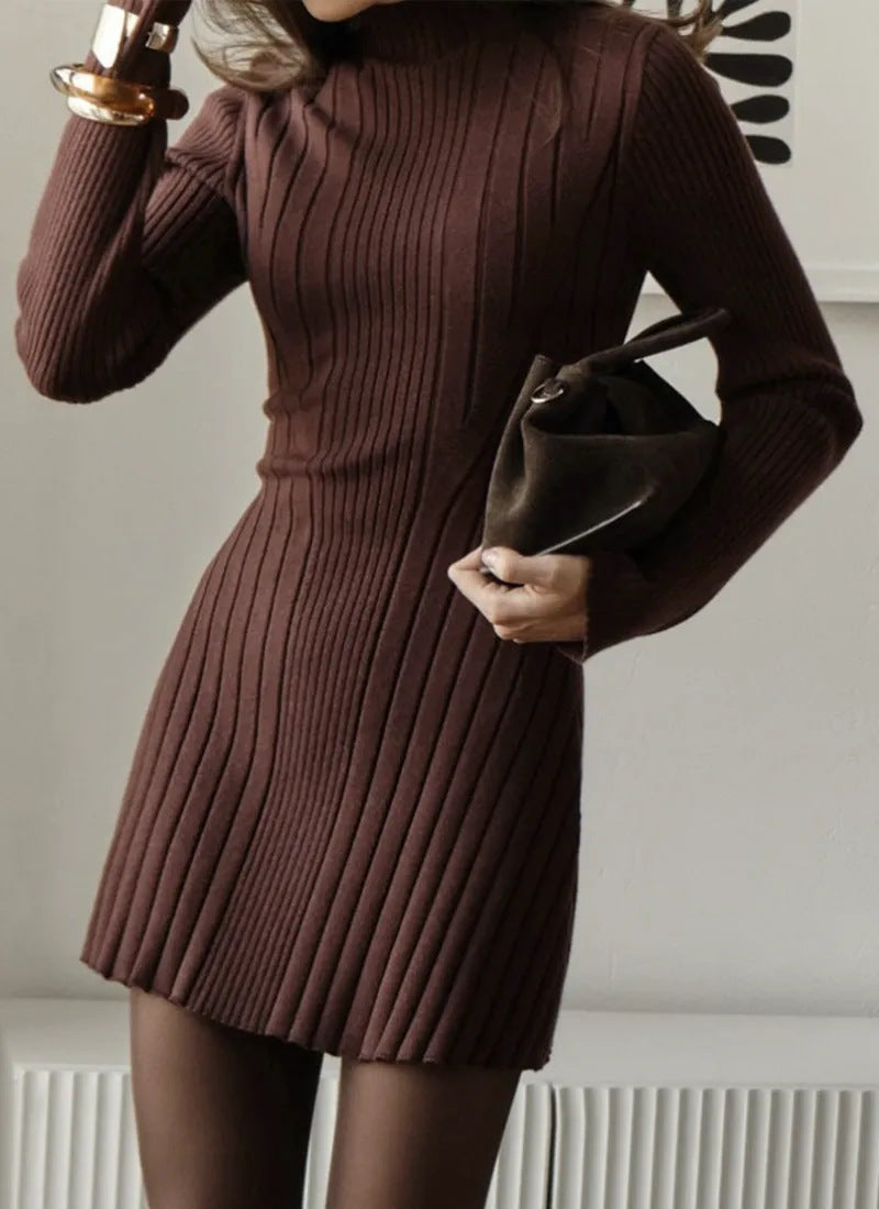 Long Sleeve High Collar Knitted Dress