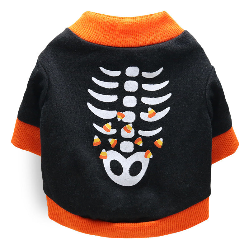 Halloween and Christmas pet costumes