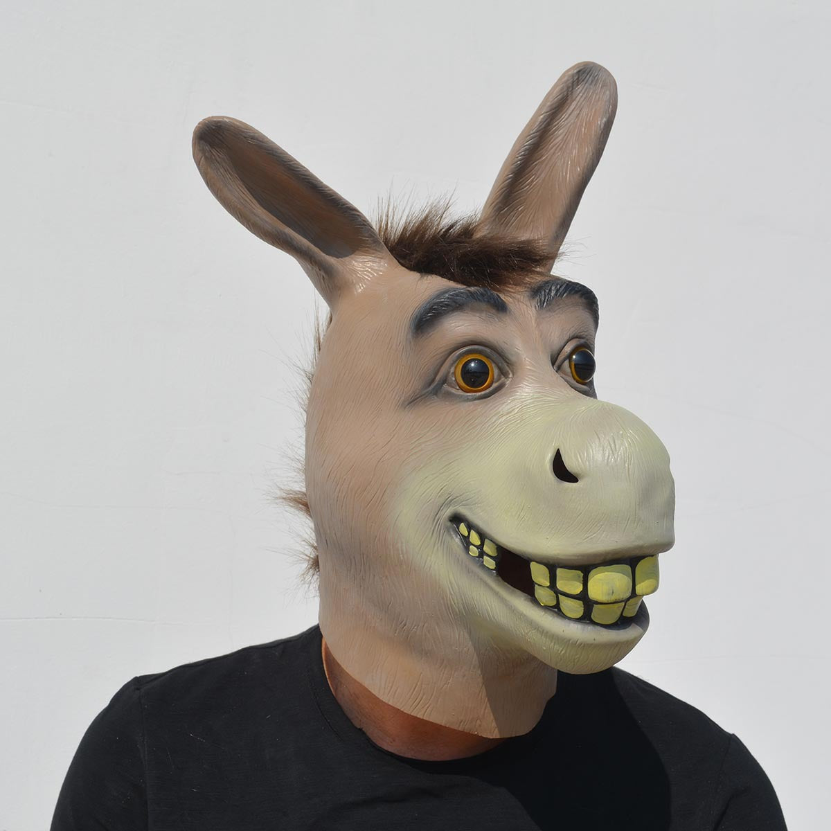 funny donkey heads