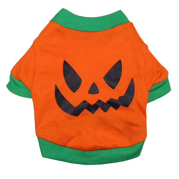 Halloween and Christmas pet costumes