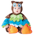 Little Owl 