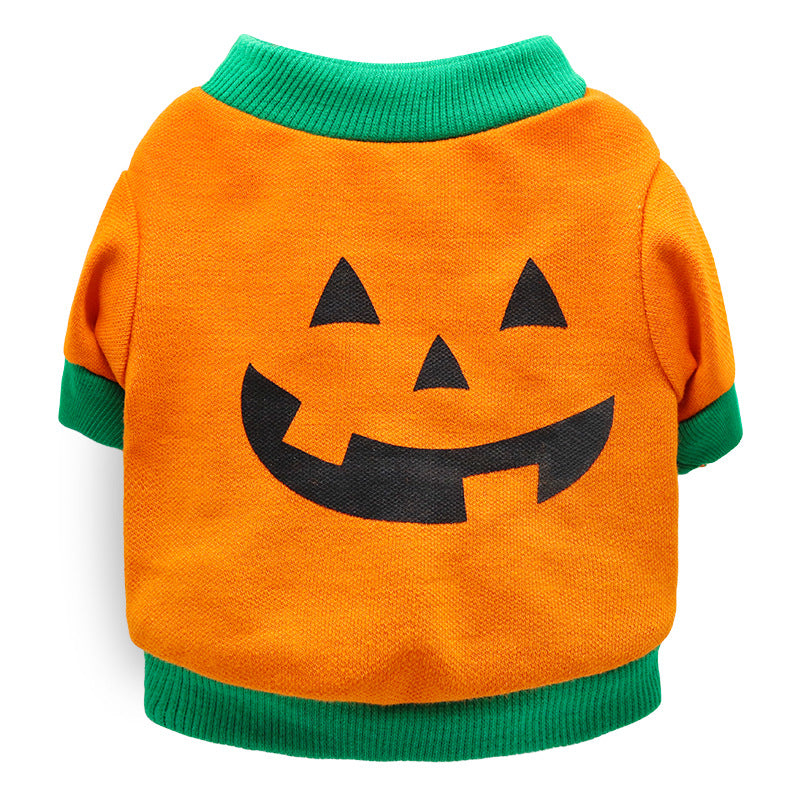 Halloween and Christmas pet costumes