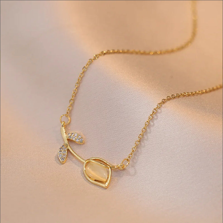 Titanium steel collar chain