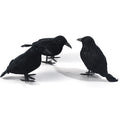 3 Piece Black Crow Feather Halloween Decoration