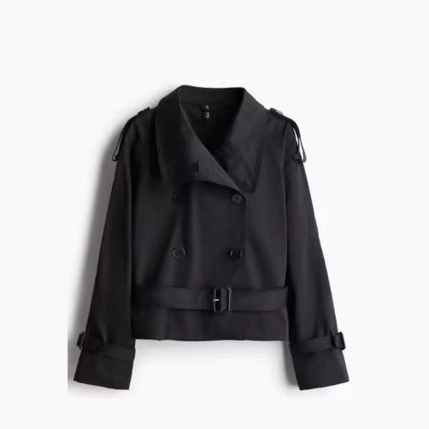 Versatile French-Style Shirt with Lace Trim