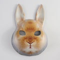 Cute Rabbit