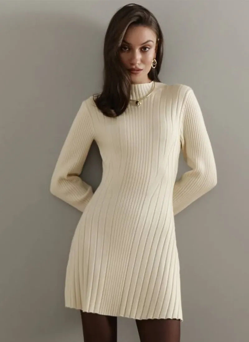 Long Sleeve High Collar Knitted Dress