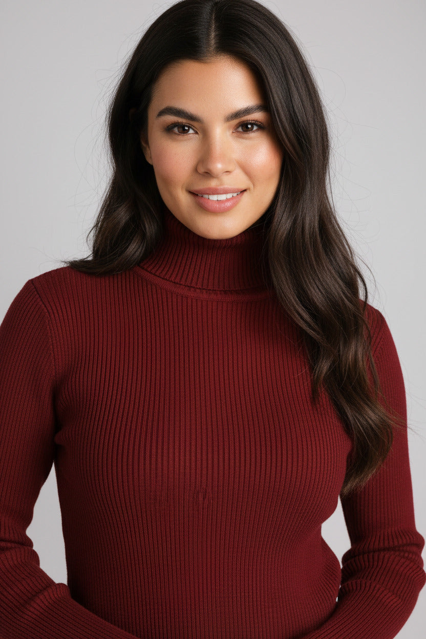 Lumiere Turtleneck Slim Knit Top