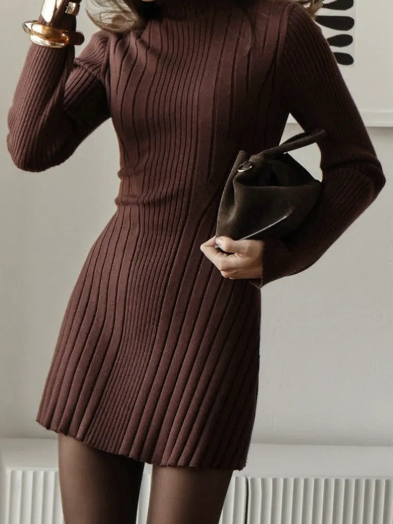 Long Sleeve High Collar Knitted Dress