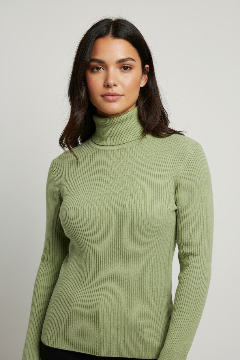 Lumiere Turtleneck Slim Knit Top