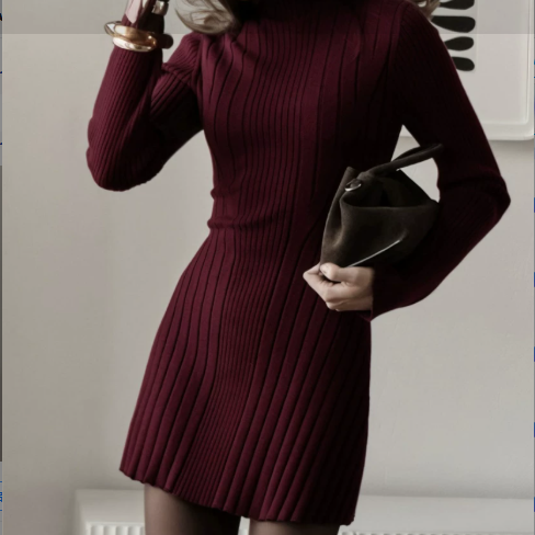Long Sleeve High Collar Knitted Dress