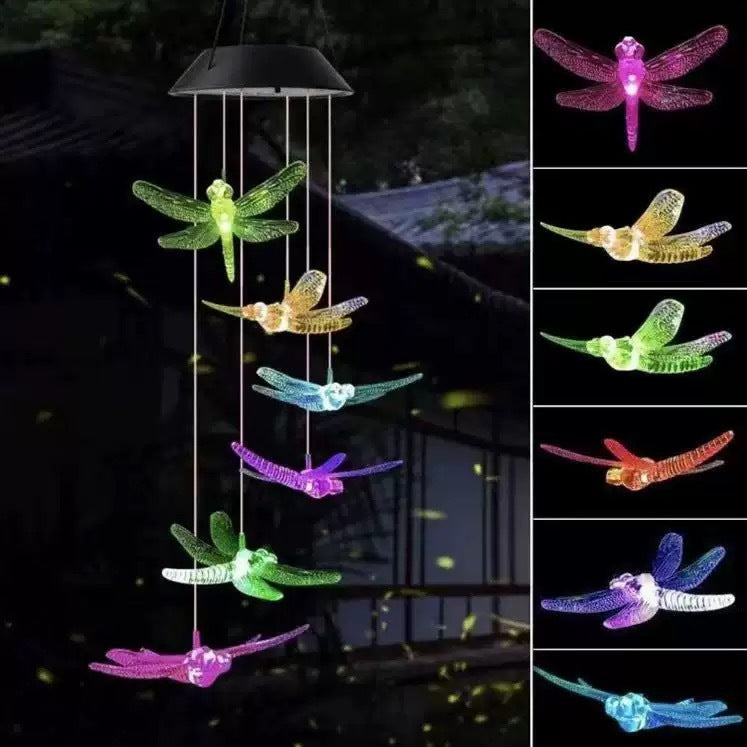 Solar Powered Outdoor Decorative Light