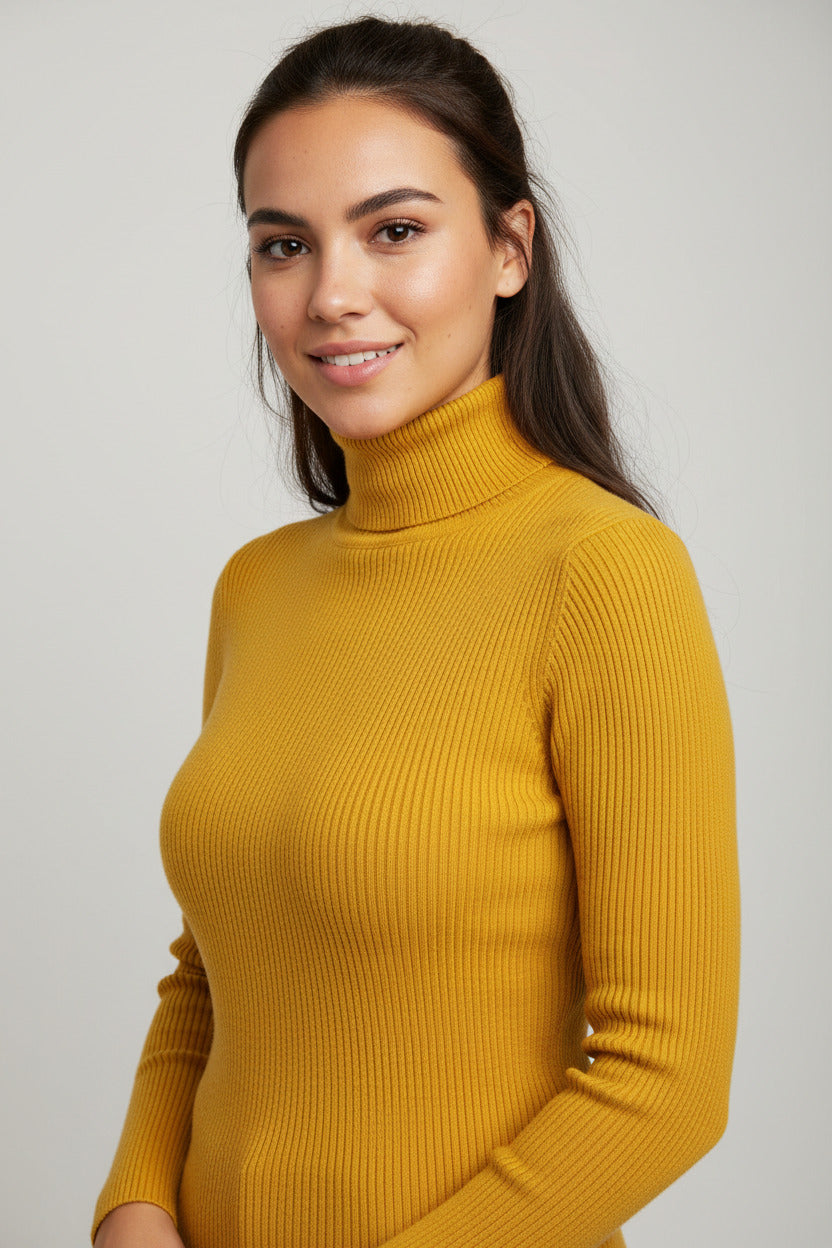 Lumiere Turtleneck Slim Knit Top