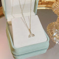 titanium steel necklace